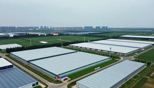 短视频制作服务满足现代企业发展需求